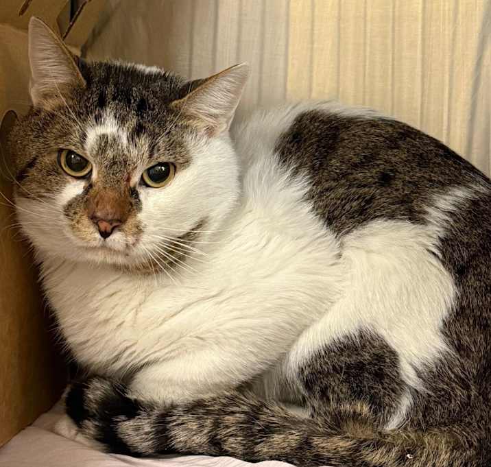 Photo of Bongo BCAS (friends w/Archie BCAS)
