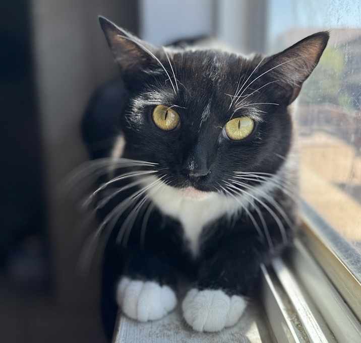 Photo of Bibiana