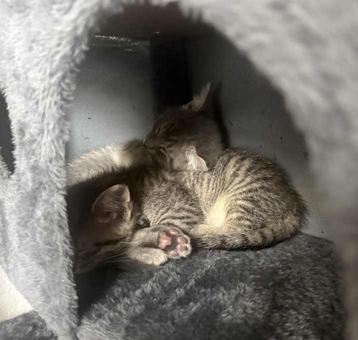 Photo of Sister & Salty