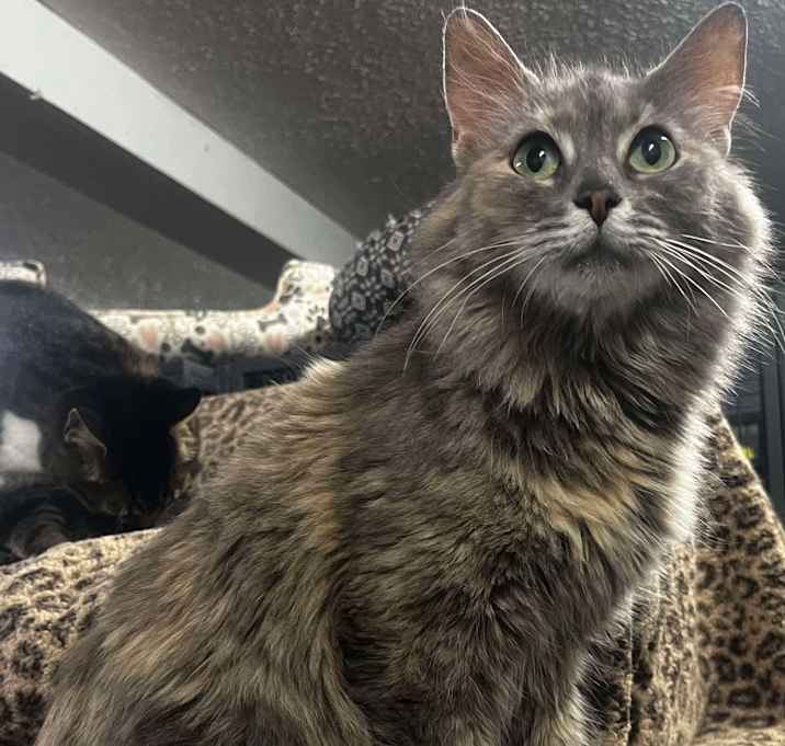 Photo of Hazel