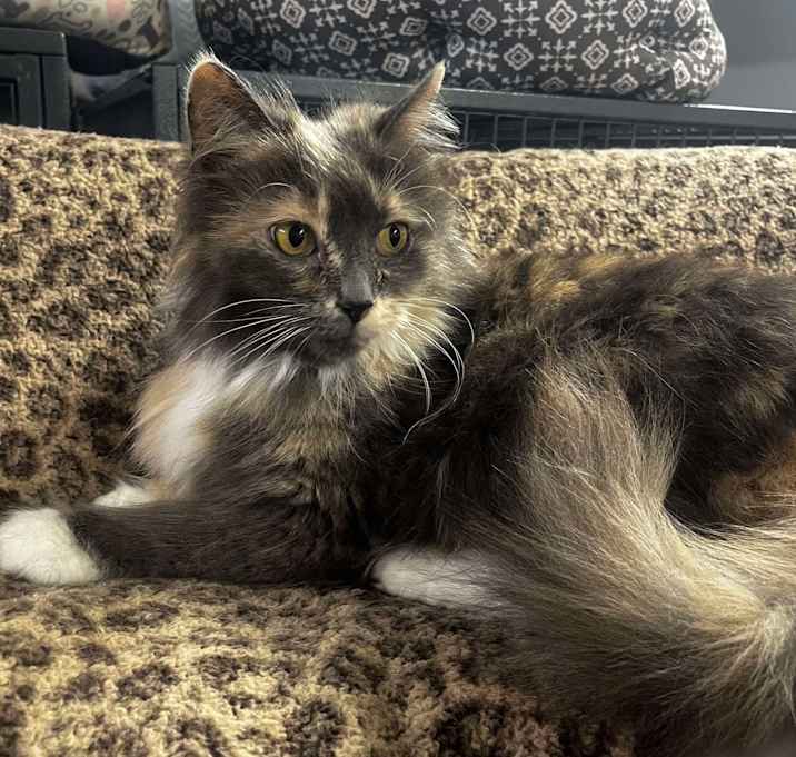 Photo of Sophie