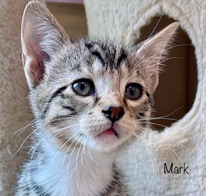Photo of Mark