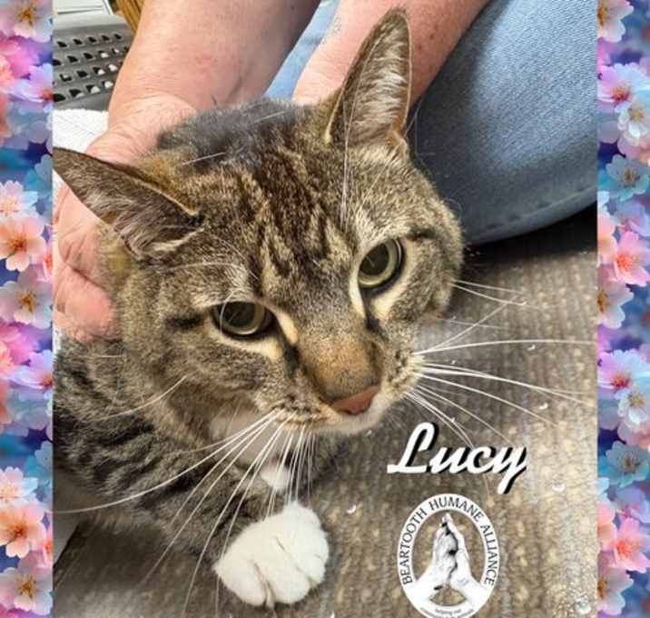 Photo of Lucy