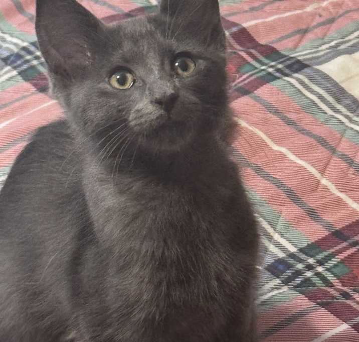 Photo of Newbie