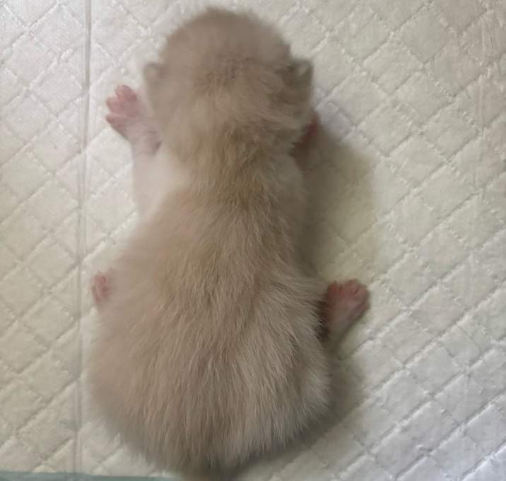 Photo of Xander 3