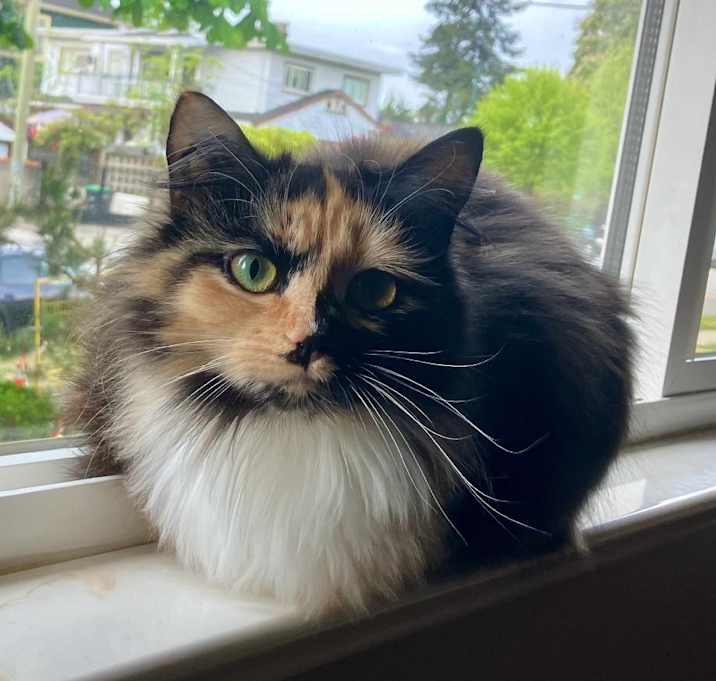 Photo of Josephine 