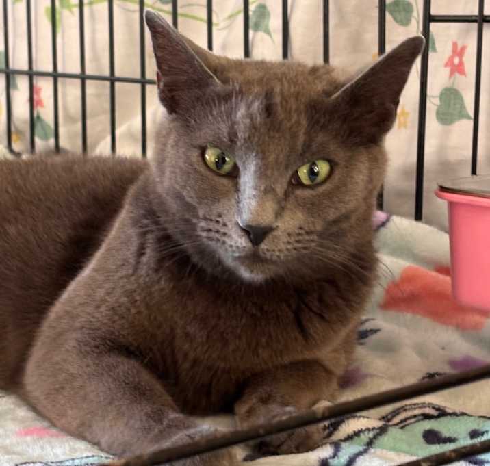 Photo of Rosemary