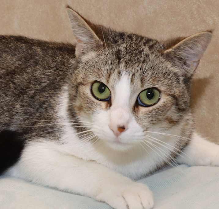 Photo of Lillian