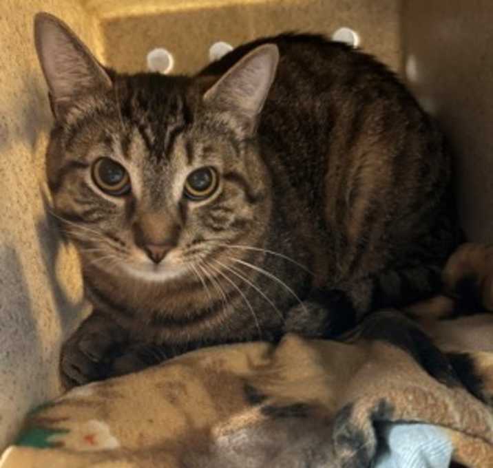 Photo of Milo