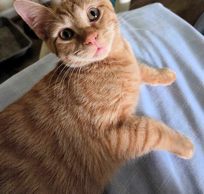 Photo of Raphael