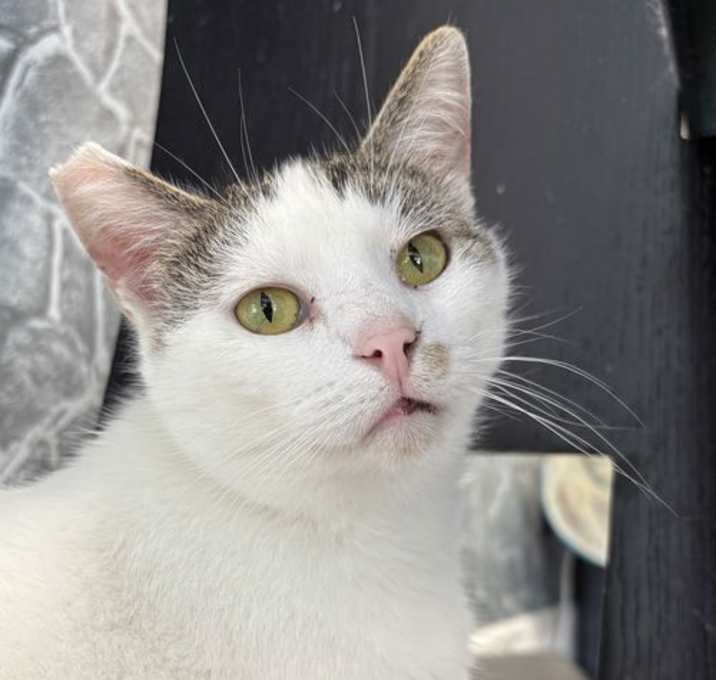 Photo of Debbie