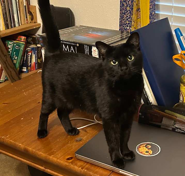 Photo of Jillybean