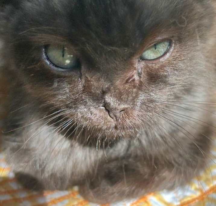Photo of Frida