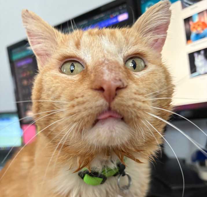 Photo of Cheese Puff