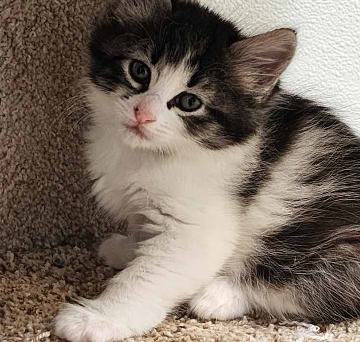 Photo of Hazel