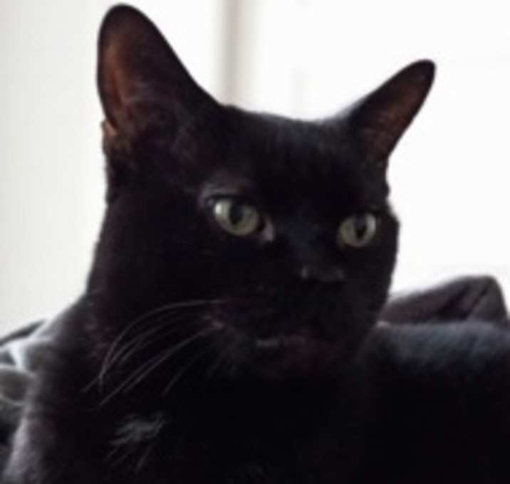 Photo of Toupie