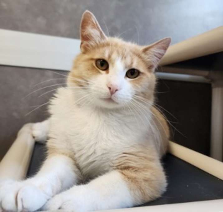 Photo of Calvin
