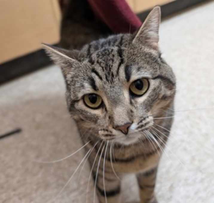 Photo of Chloe
