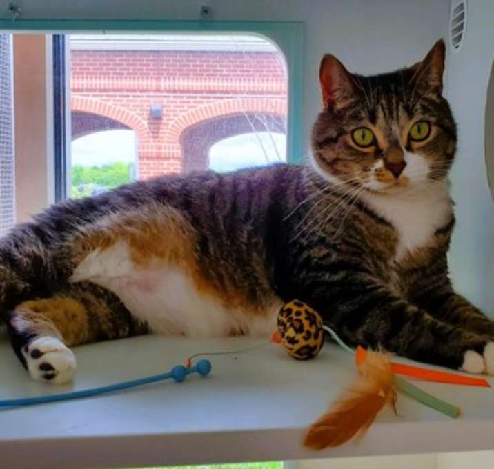 Photo of Charlie