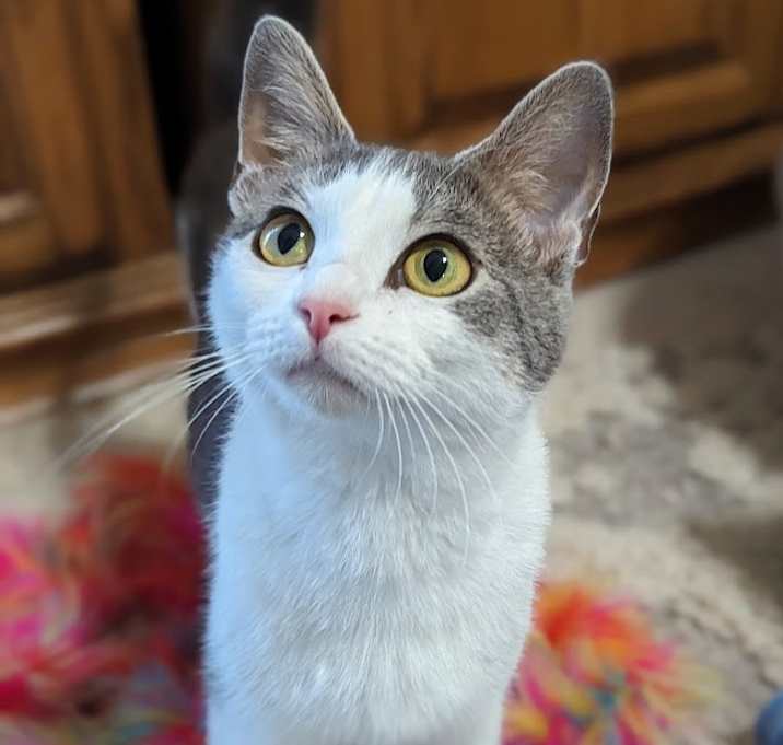 Photo of Lulu
