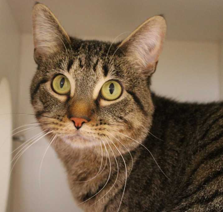 Photo of Zaick