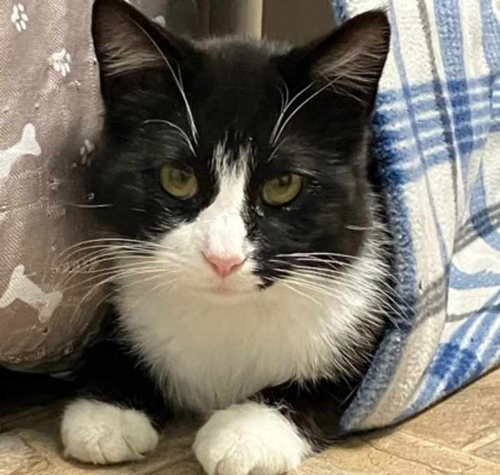 Photo of Ninja