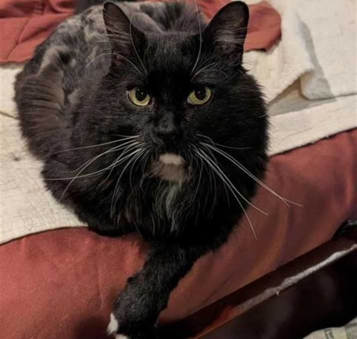 Photo of FRED