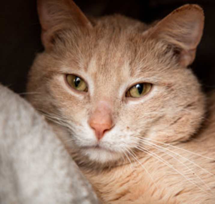 Photo of Sunny
