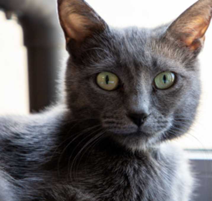 Photo of Gamble