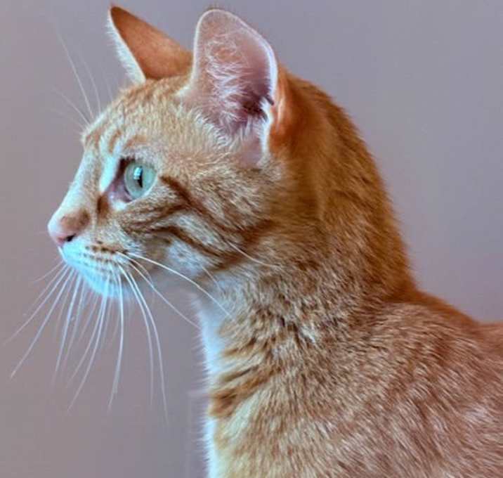 Photo of Winnie