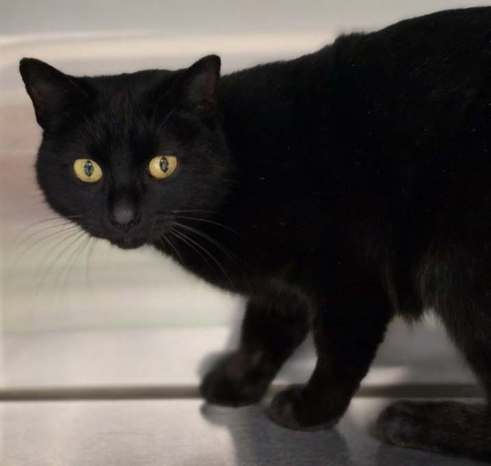 Photo of Catsy Cline