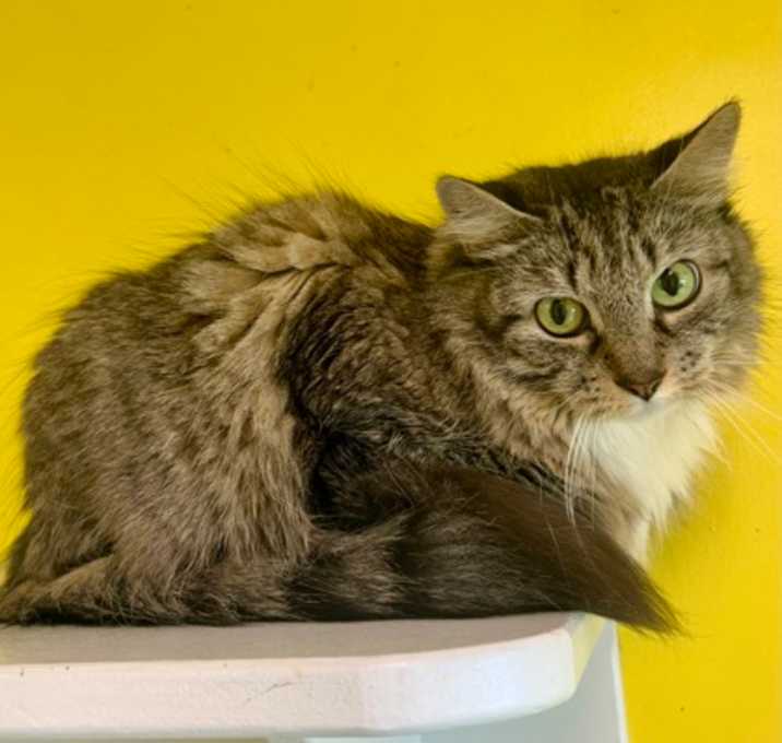 Photo of Hermione