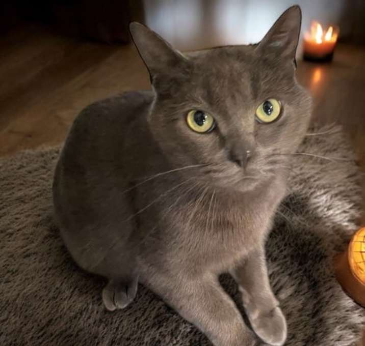 Photo of Molly
