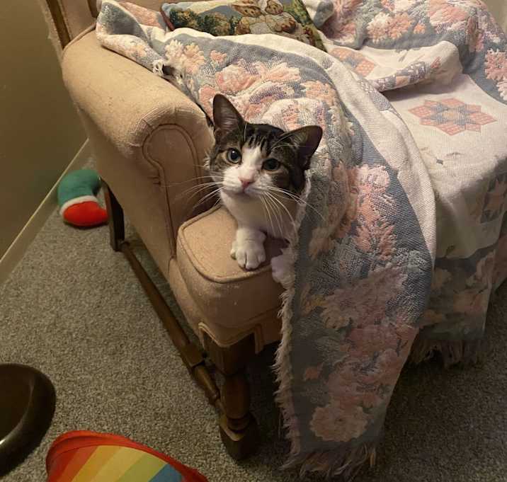 Photo of Susie