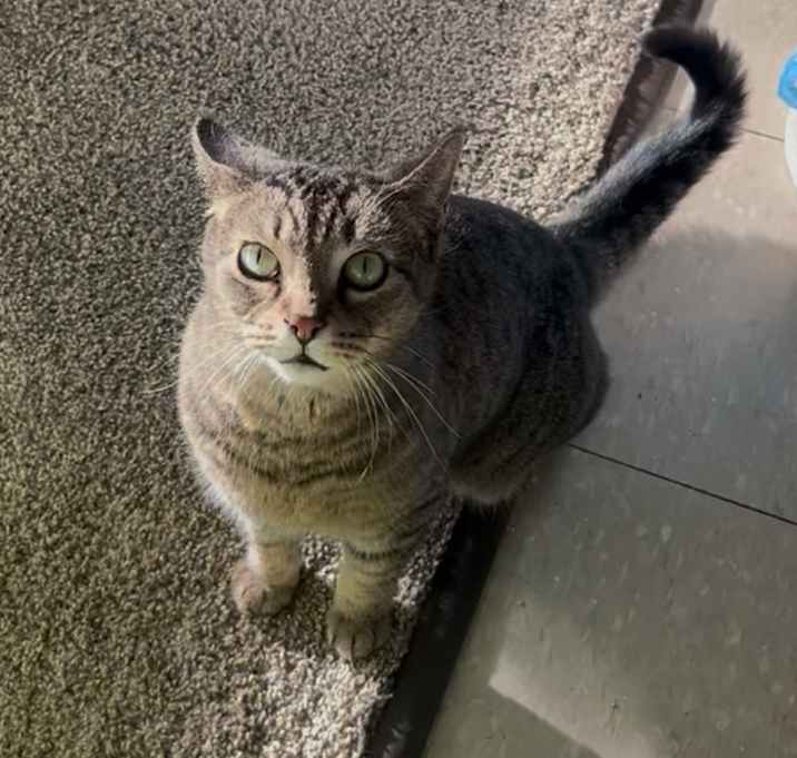 Photo of Munchie