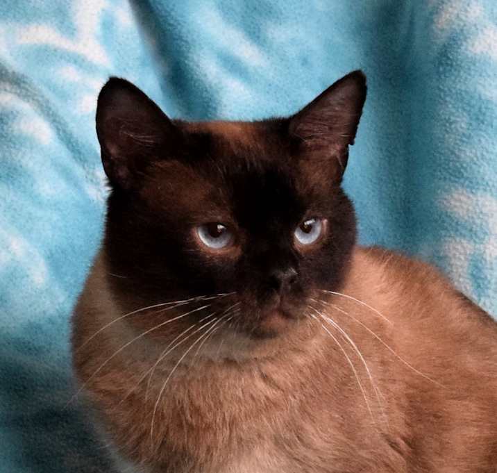 Photo of Sam