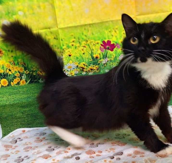 Photo of 250445  Penelope