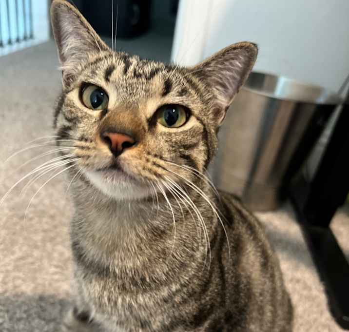 Photo of Wolfgang