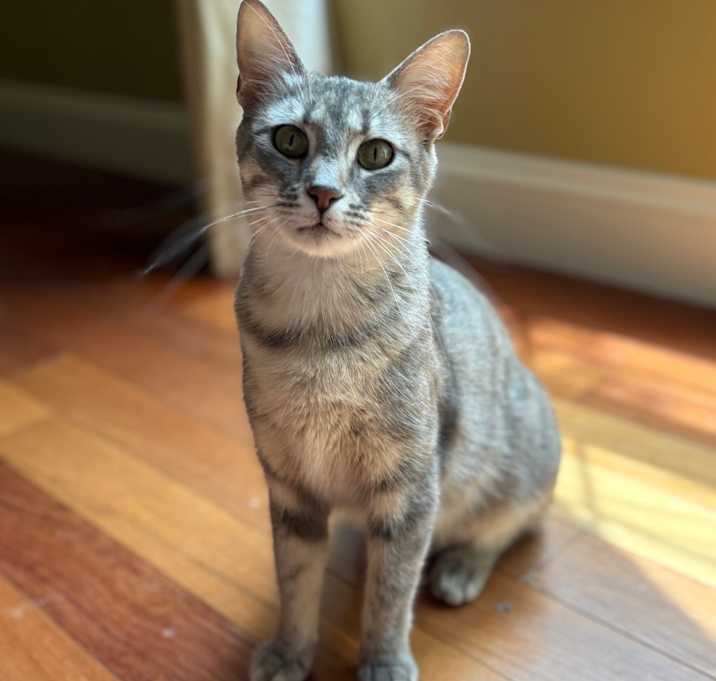 Photo of Mallory