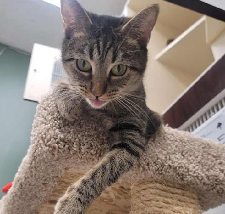 Photo of Edith