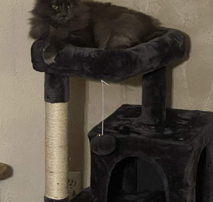 Photo of Marissa