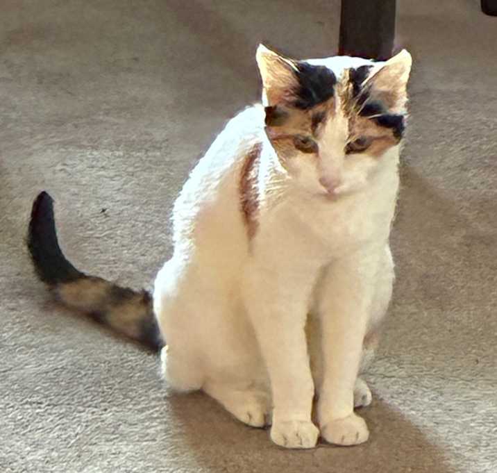 Photo of Zeus