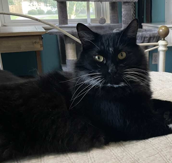 Photo of Winky