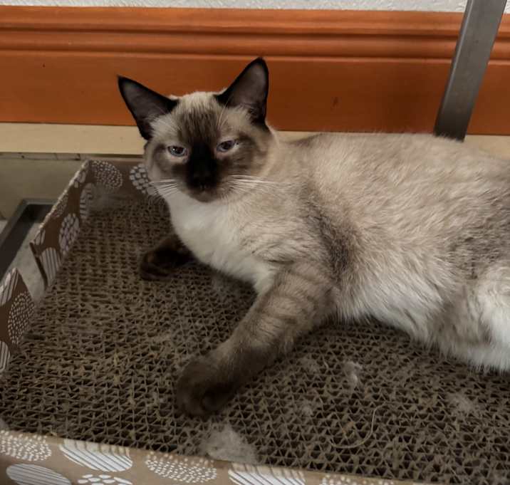 Photo of Gucci