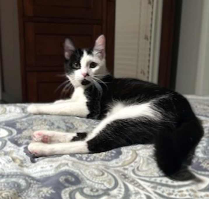 Photo of Rizzo