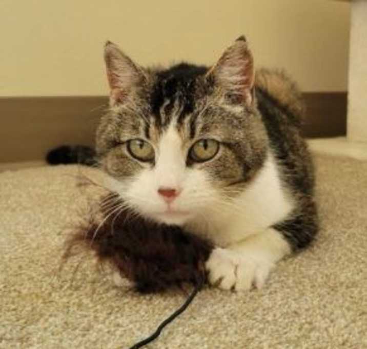 Photo of Edna