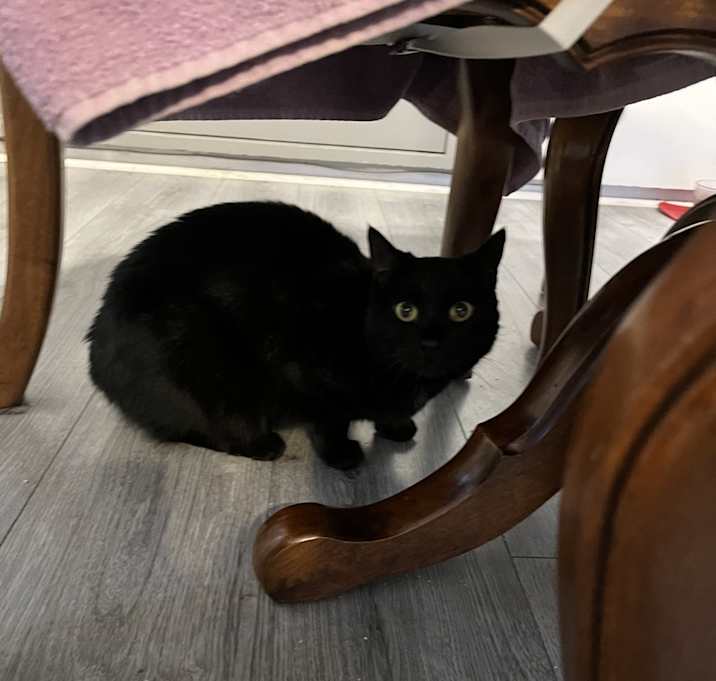 Photo of Nani
