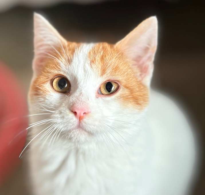 Photo of Sugar Booger