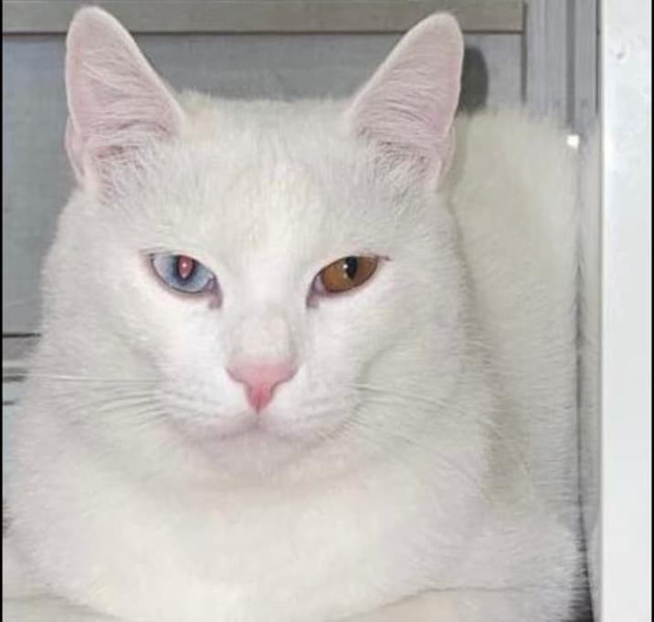 Photo of Whitey