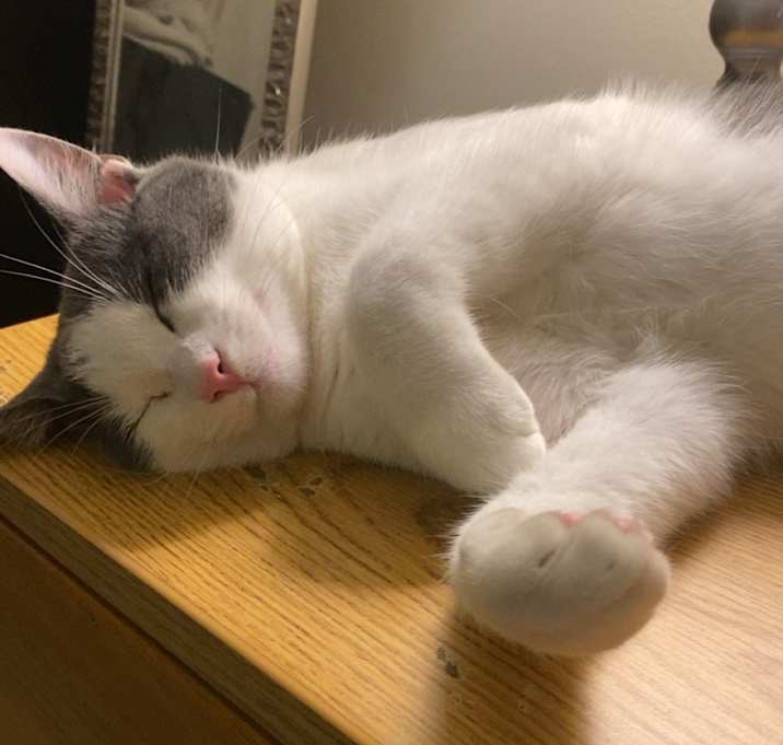 Photo of Rico